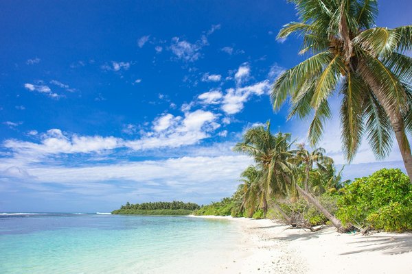 Conseils pour dénicher une location de chalet pour camping